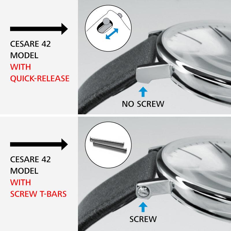 Federstege 22 mm (2 Stück) - Lambretta Watches - Lambrettawatches
